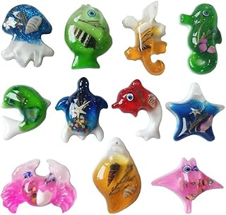 10 Marine Animal Amber Shells Amber Amber Book Ballast (10PCS)