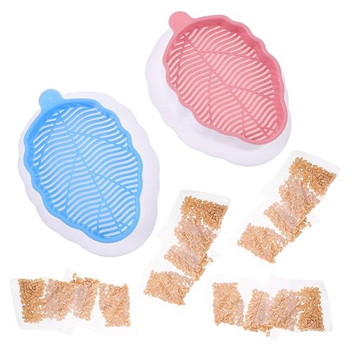 Toddmomy 2 Piezas Caja de Plantación Hidropónica para Césped de Gato de Caja y Blanca Práctica Sin Suelo para Mascotas para Jardinería Casa y Decoración del