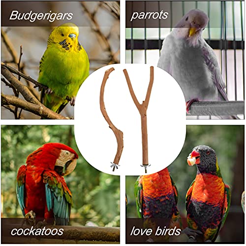 iplusmile Vogel Accessoire 2 stks Papegaai Baars Staande Pole Vogels Kooi Staande Stok Vogel Hout Staaf - Afbeelding 5