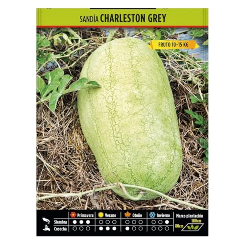 Semillas Hortícolas - Sandia Charleston Grey - Semillas listas para plantar.
