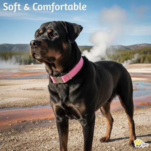 Image of ADITYNA Leather Dog Collar for Large & Extra Large Dogs, Adjustable 19-30 inch | Padded, heavy-duty metal buckle. Great for walking, training - ideal for Rottweiler, German Shepherd, Golden Retriever.
