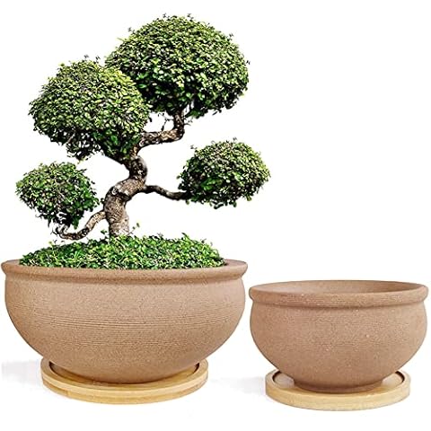 MUZHI 2 Pack Unglazed Procelain Ceramic Succulent Bonsai Tree Planter Pot Cover