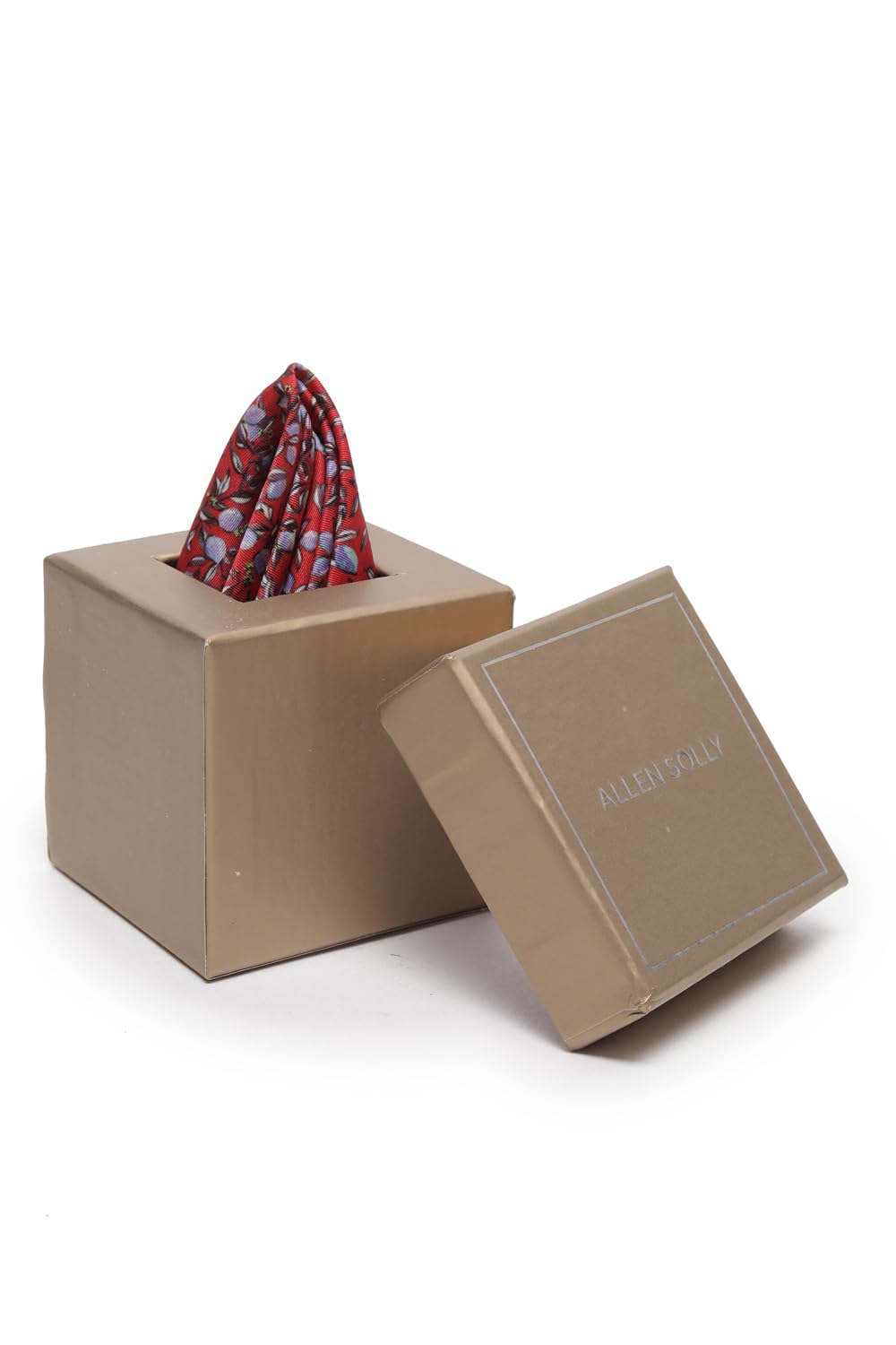 allen solly Men Maroon Party Pocket Square-picture-41