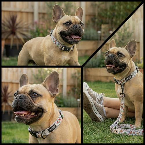 Image of Tuff Pupper Premium Adjustable Dog Collar for Medium Girl Dogs, Stylish Pattern Collars Designed in USA, Quick Release Buckle, Rebel Two Print for Female Dogs, Medium (1 Inch Wide x 13-18 Inch Neck)
