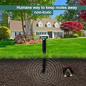 Solar Mole Repellent, 10 Pack Ultrasonic Mole Repellent Solar Powered, Waterproof Snake Vole Gopher Repellent for Garden & Yard (Green)