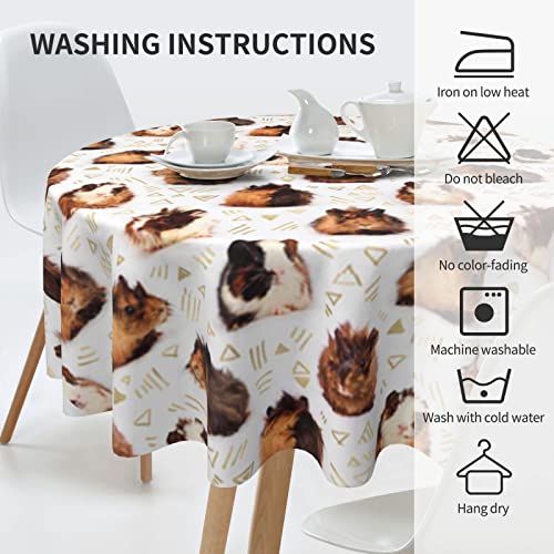 Nappe ronde en polyester lavable antitache pour table de repas 152 cm