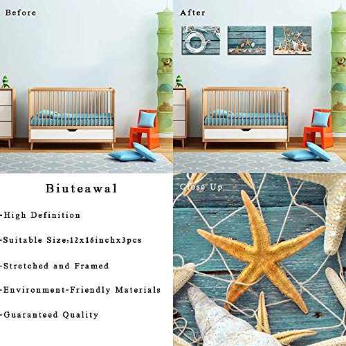 Biuteawal- 3 Piece Canvas Wall Art Starfish Shell On Teal Board Painting Prints Beach Nature Picture Canvas Artwork For Home Kitchen Bathroom Living Room Wall Decor Ready To Hang #TOP5