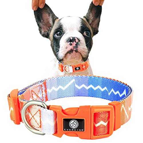 dog walking training collars