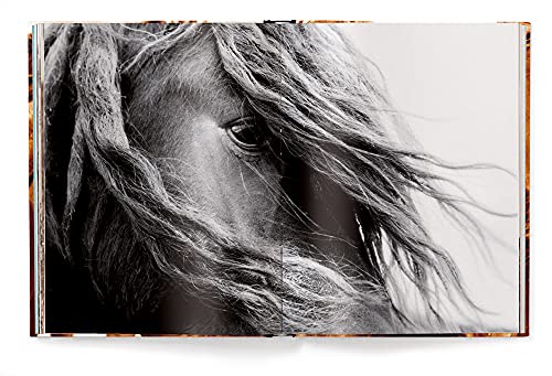 The Wild Horses of Sable Island: The Wild Horses of Sable Islands -promo-