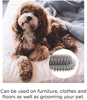 CleanPEAK Pet Hair Remover Brush