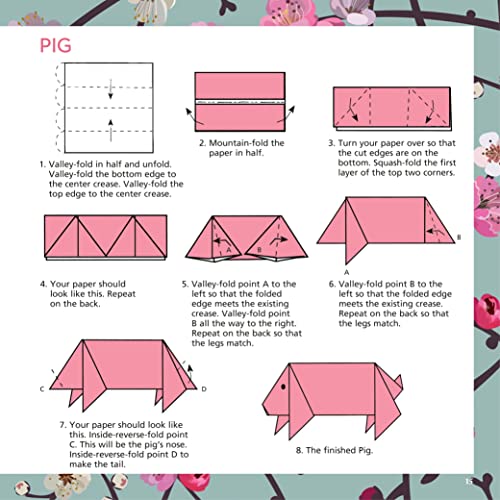 Origami Cherry Blossoms Paper Pack Book: 256 Double-Sided Folding Sheets with 16 Different Cherry Bl