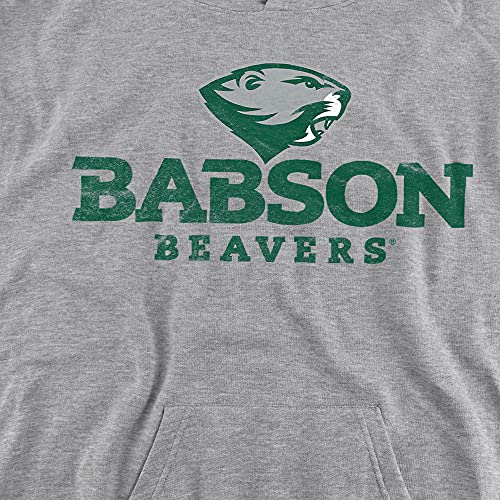 Babson College Official Distressed Primary Youth Kids Boy/Girls Pull-Over Hoodie Sweatshirt2