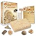 YUDIZWS Kit da archeologo fossile da Scavare Bambini, Scavare 5 fossili con Questo Kit di scavo Geologia Minerale STEM Science Giocattoli educativi Regali (fossile)