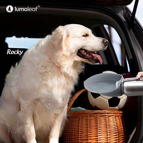 Lumoleaf Portable Dog Water Bottle 27 Oz, Stainless Steel Pet Travel Water Bottle Dispenser For Walking, Hiking And Outdoor, Portable Water Bowl For Large Dogs (Grey) #TOP7