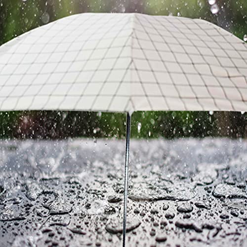 Image of KEKEMI 3 Fold Plain Pipine Umbrella for Men & Women