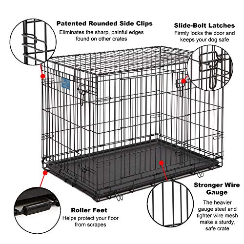 Dog Crate MidWest Life Stages 36" Double Door Folding Metal Dog Crate
