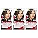 Garnier Color Sensation Hair Color Cream, 4.0 Snow Day Cocoa (Dark Brown), 3 Count (Packaging May Vary)