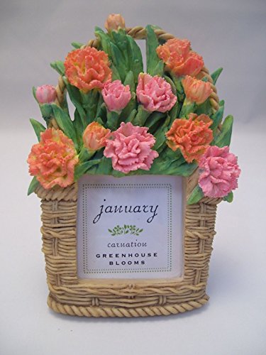 Russ Berrie Flowers of The Month Picture Frame January Carnation