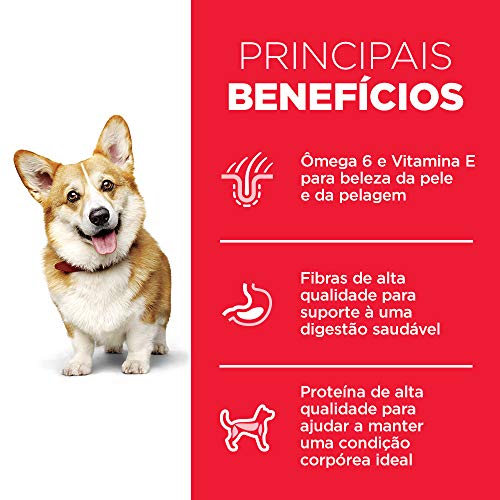 Hill's Science Diet Ração Para Cães Adultos Pedaços Pequenos 6Kg