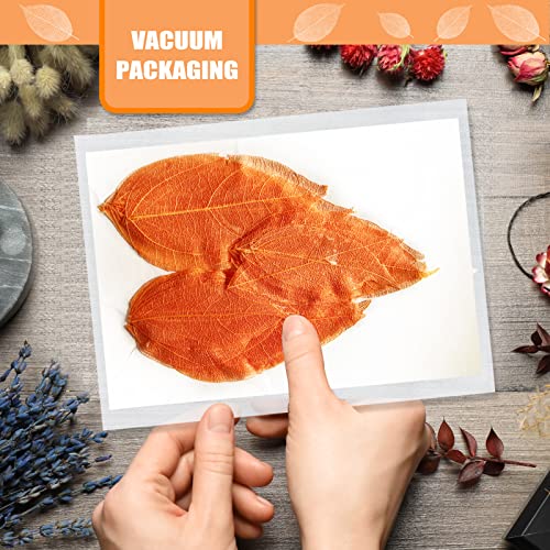 Hojas Secas Naturales Naranja para Artesanía Pack 42 miniatura 3