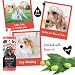 Bugalugs Hundeshampoo Flöhe & Zecken 500 ml mit Neemöl