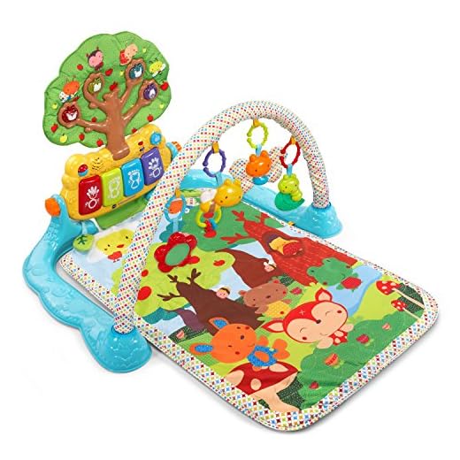 VTech Baby Lil' Critters Musical Glow Gym (Frustration Free Packaging)