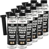 TECPO 10x Vergaserreiniger, 300ml Ester Speed-XM Additiv Drosselkappen Reiniger für PKW...