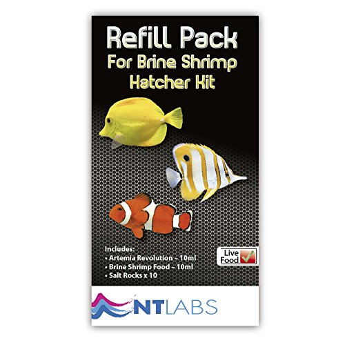 XT-DOG NT Labs NT40 Artemia Set - Artemia Futter und Nachzucht für Aquarium - Klassisch - 0.13 kg