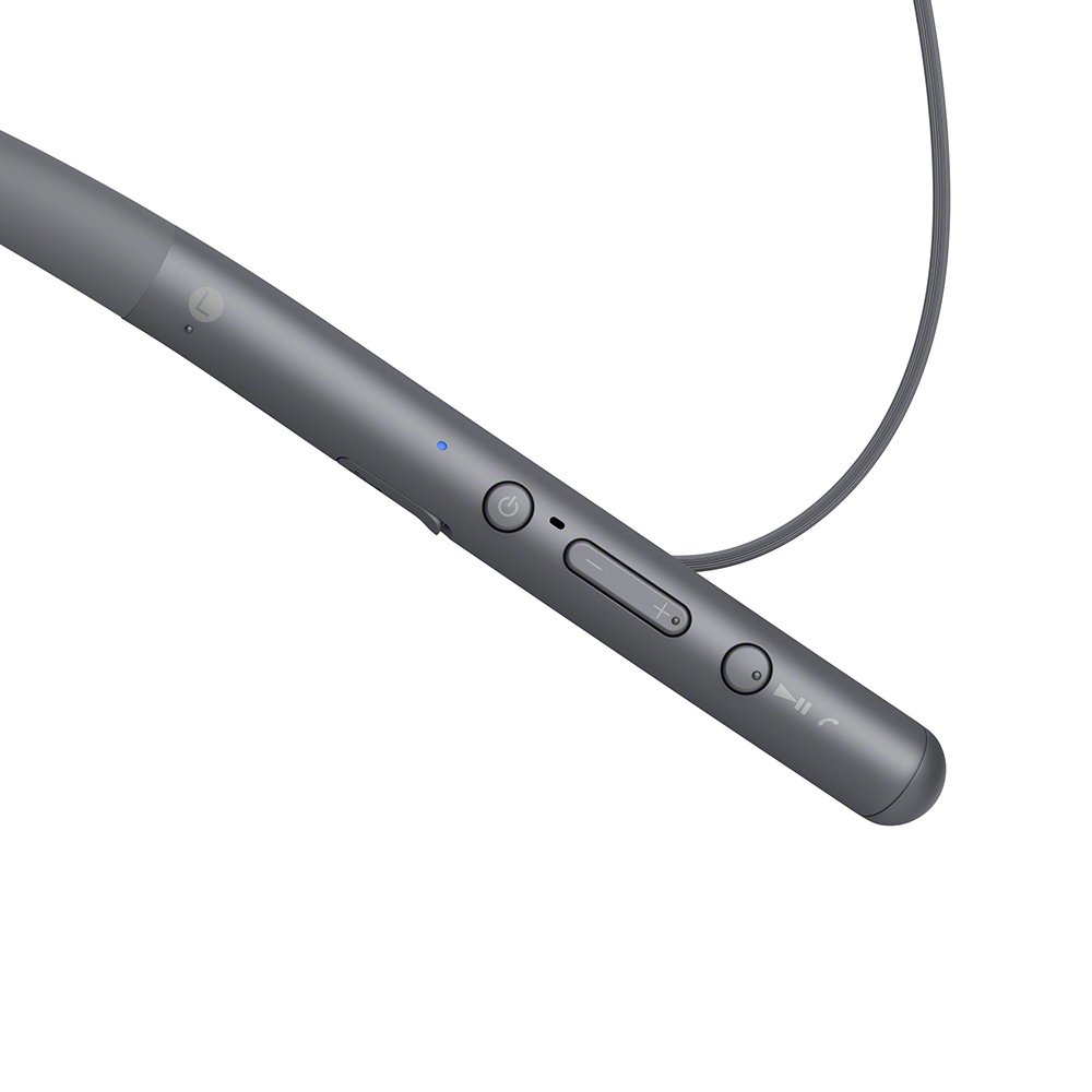Amazon.co.jp: ソニー ワイヤレスイヤホン h.ear in 2 Wireless WI
