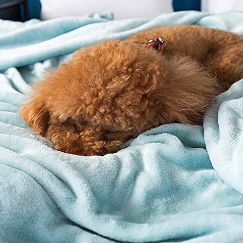 Onme Fleece Blanket, Full/Queen Size Blanket - Soft Lightweight Microfiber Cool Blanket For Sofa, Couch, Bed, Camping, Travel, 90"X90" Light Green #TOP6