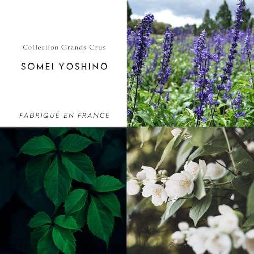 Berdoues Somei Yoshino Eau De Parfum Edp 100 Ml (Woman) - 4