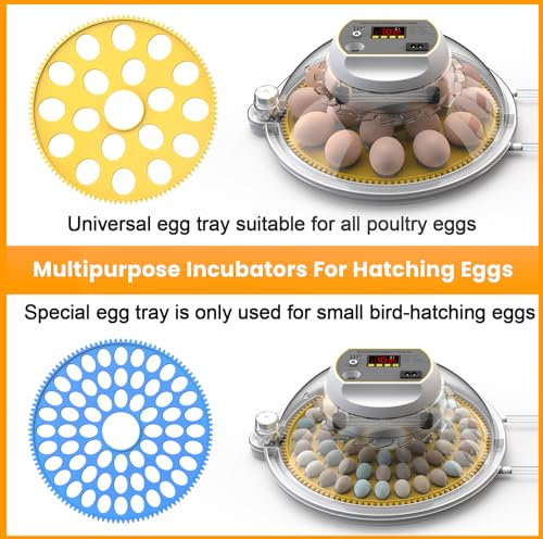 Incubadoras para ovos para incubação, incubadora de ovos com rotação automática de ovos e adição aut