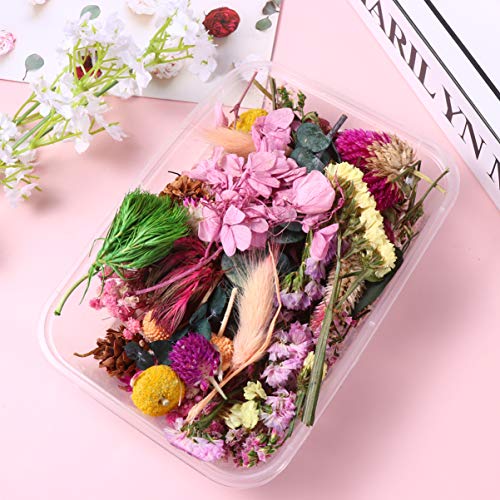 2 Caixas Flores Prensadas Secas Reais Flor Seca De Resina Epóxi Artesanato a Granel Flores Prensadas