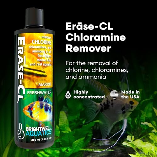 Image of Brightwell Aquatics Erāse-Cl Aquarium Water Conditioner & Detox, 250 ml