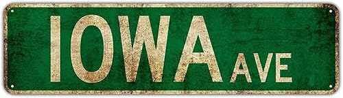 Retro Metal Tin Signs - Iowa Ave Street Signs, Amusement Park Scenic 4x16 in Metal Wall Decor