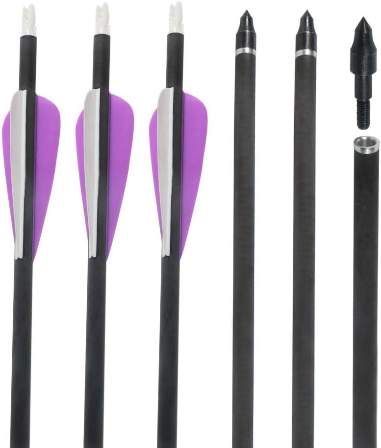 Huntingdoor Archery Arrows Carbon Arrows 350 Spine 31'' Targeting Arrows Hunting Shooting Practice Screw-in Field Points Rotate Nock Purple Vanes for Recurve Bow Compound Bow Longbow, 12Pcs : Sports & Outdoors