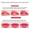 Amazfly-2-Pcs-Aloe-Vera-Lipstick-Clear-Jelly-Lipsticks-Magic-Temperature-Color-Change-Lipstick-Lip-Blam-Moisturizing-Long-Lasting-Lip-Makeup-2Pcs Amazfly 2 Pcs Aloe Vera Lipstick, Clear Jelly Lipsticks, Magic Temperature Color Change Lipstick Lip Blam Moisturizing Long Lasting Lip Makeup (2Pcs)