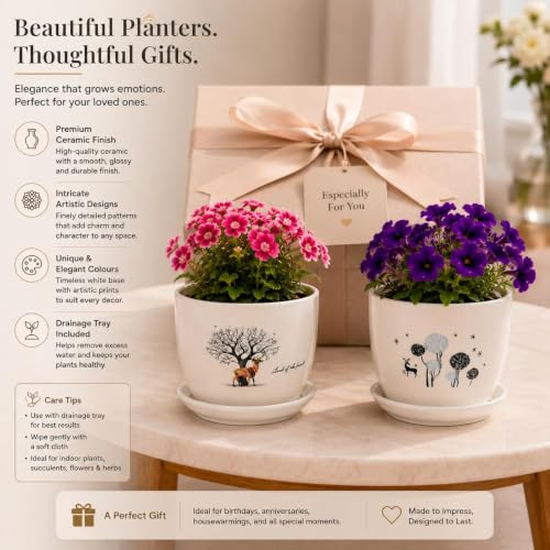 Image of Xtore Artistic Hand-Painted Ceramic Planter Set of 2 with Drain Tray | Elegant Indoor Plant Pots for Desk, Balcony & Home Decor (Pack of 2, Planter only)