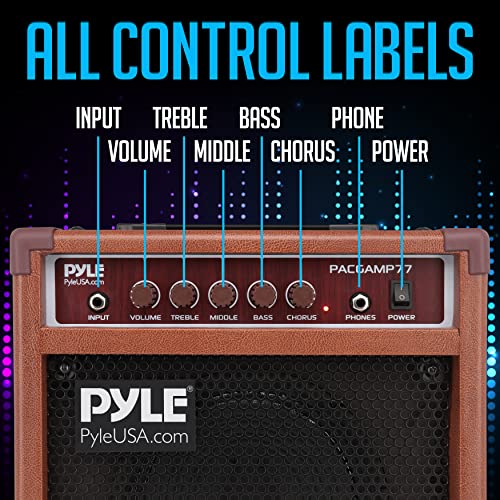 Pyleusa Acoustic Electric Guitar Amplifier, 15 Watt Portable Mini Amp With Chorus, Volume, Bass, Middle, And Treble Knobs, Headphone Output, Small 8 Inch Speaker For Practice And Portability #TOP3
