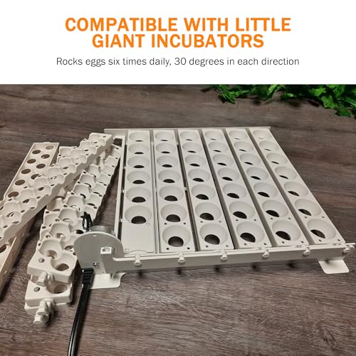 Little Giant Automatic Egg Turner 6300 w Quail Rails