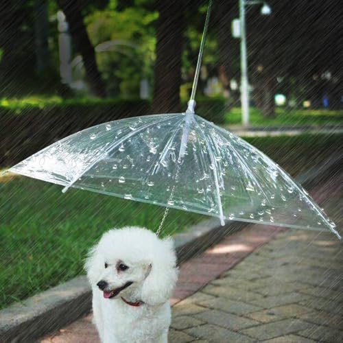 Bonarca �y�b�g�p�P �L�p�P ���p�P ���a75cm ������̒���52cm �J�� ���� ���n �~�J�Ή� ���C���O�b�Y �J�̓��ɎU�� ���[�h�ڑ� �`�F�[���t��