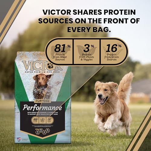 Image of VICTOR Performance Dry Dog Food - Beef, Chicken & Pork Meal, 40 lb | Super Premium Dog Food, 26% Protein, For Active Adult Dogs, Includes Glucosamine and Chondroitin for Hip & Joint Health