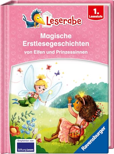 Magische Erstlesegeschichten von Elfen und Prinzessinnen - Miniausgabe - Erstlesebuch für Kinder ab 6 Jahren (Sonderausgaben)