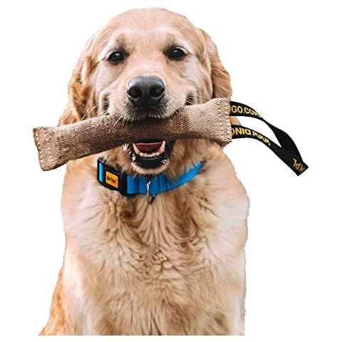 Dingo Jute Tug Toy with Handle Cover