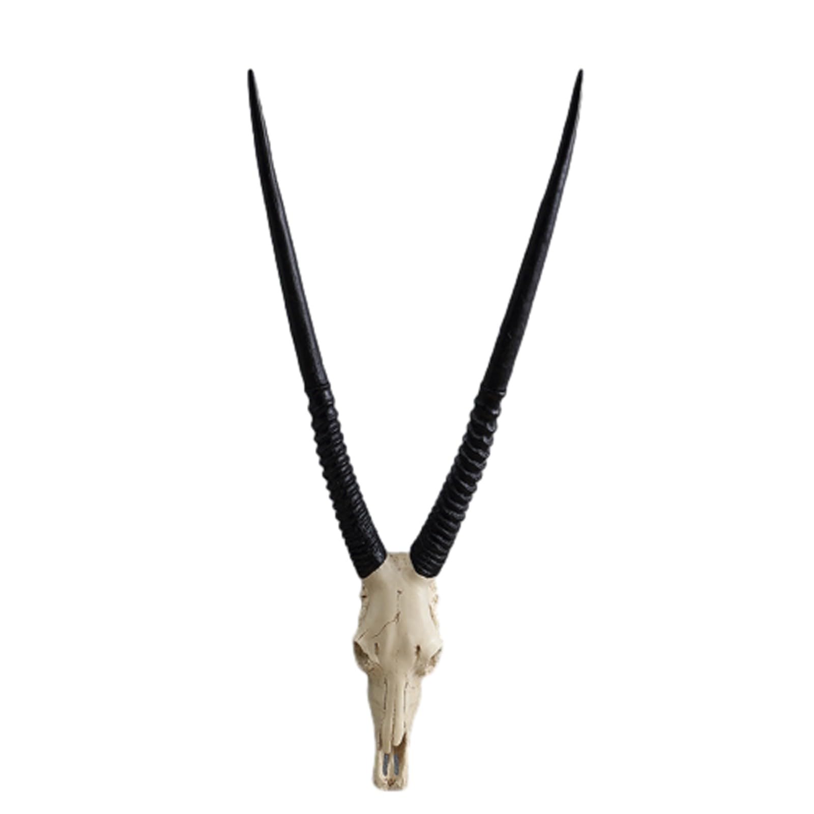 Cráneo de Animal de Resina para Colgar en la Pared, cráneos con Cuernos, Escultura de Cabeza de Toro, cráneo de Vaca montado Largo, Cuerno Largo, decoración (H)