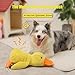 Shengruili Ente Hundespielzeug,Anti Stress Ente Für Hunde,Süße Spielzeugente Plüsch Antistressente für Hunde,Quietschendes Plüsch-Spielzeug für Kleine Mittlere Große