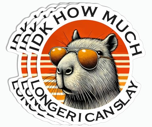 3Pcs - How Much Longer I Can Slay Sticker -