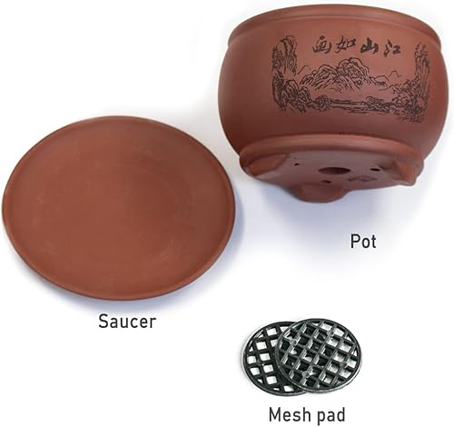 Miniatura 5 de Dahlia - Macetero de barro (zisha) para suculenta con plato para drenaje