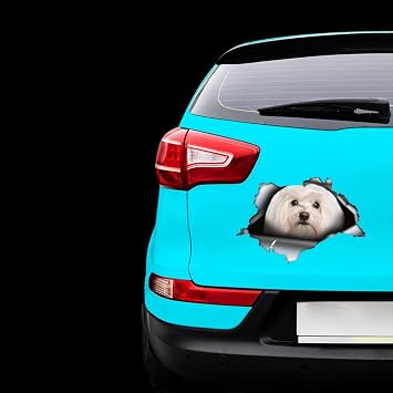 Long haired Maltese car Decal, Maltese Magnet, Maltese car Sticker, pet Decal