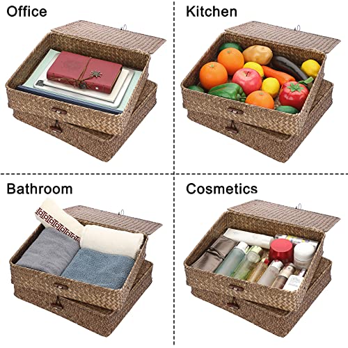 Btsky 2 Pack Wicker Baskets With Lids Flat Woven Storage Bins For Shelf Organizing Natural Seagrass Storage Baskets With Lids Home Utility Organizer Box For Home & Office Supplies, Coffee (Large) #TOP6